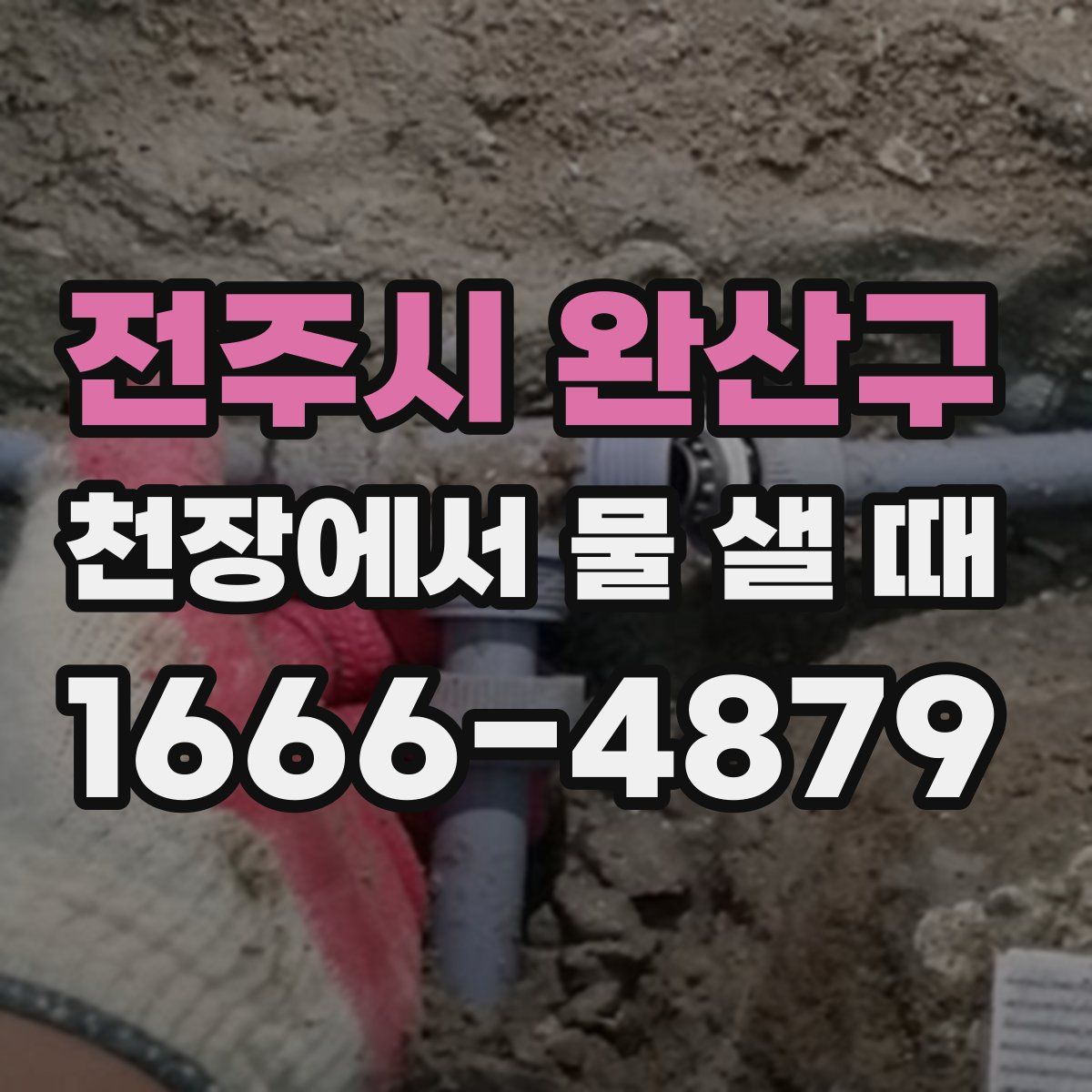 전주시 완산구 천장에서 물 샐 때