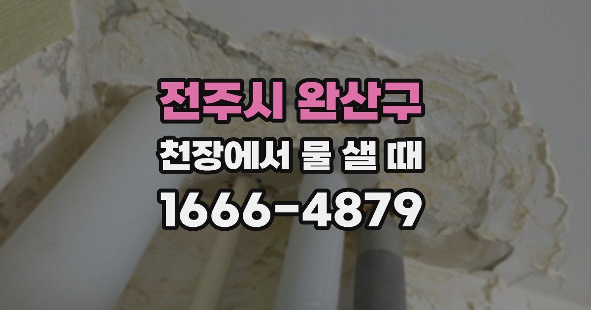 전주시 완산구 천장에서 물 샐 때