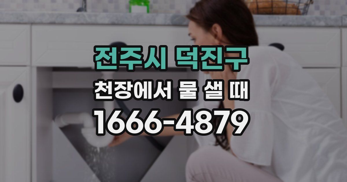전주시 덕진구 천장에서 물 샐 때