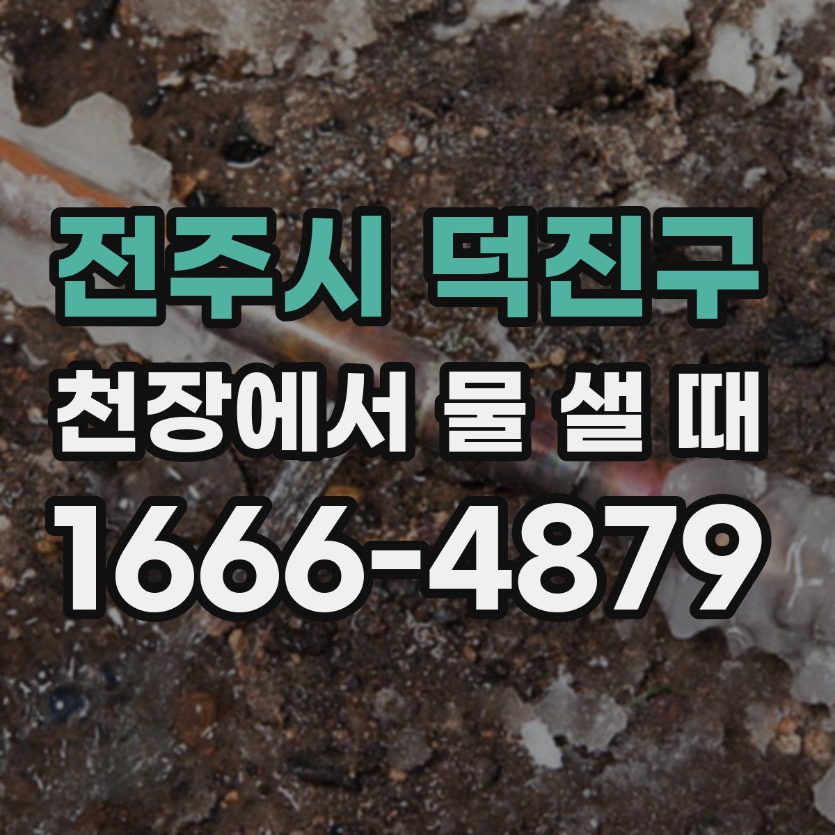 전주시 덕진구 천장에서 물 샐 때
