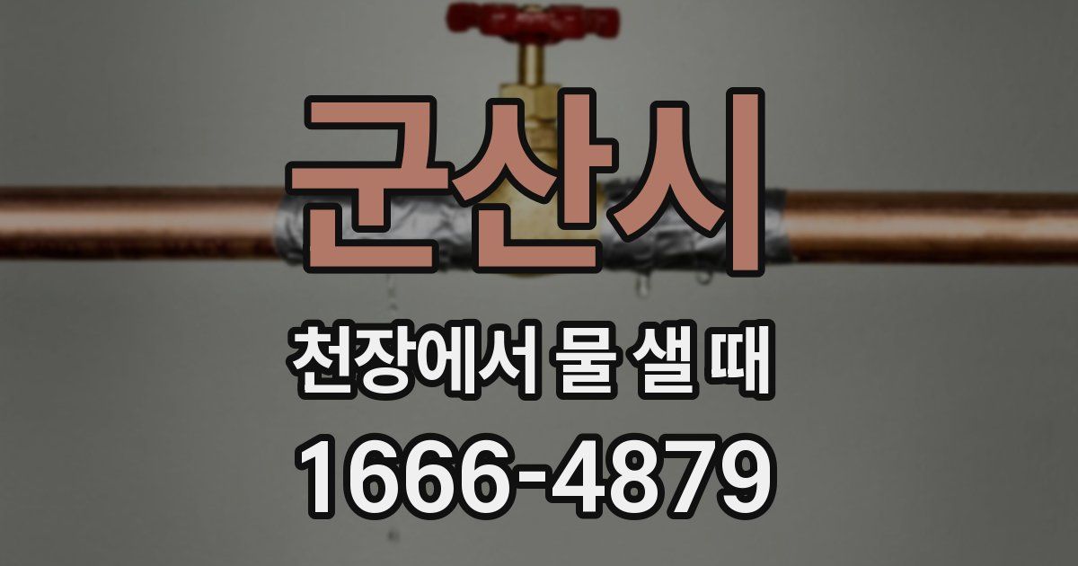 군산시 천장에서 물 샐 때
