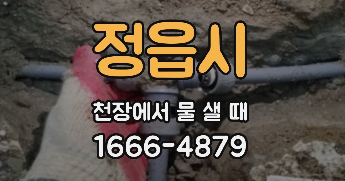정읍시 천장에서 물 샐 때