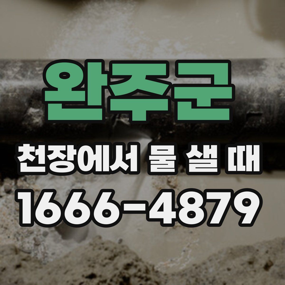 완주군 천장에서 물 샐 때