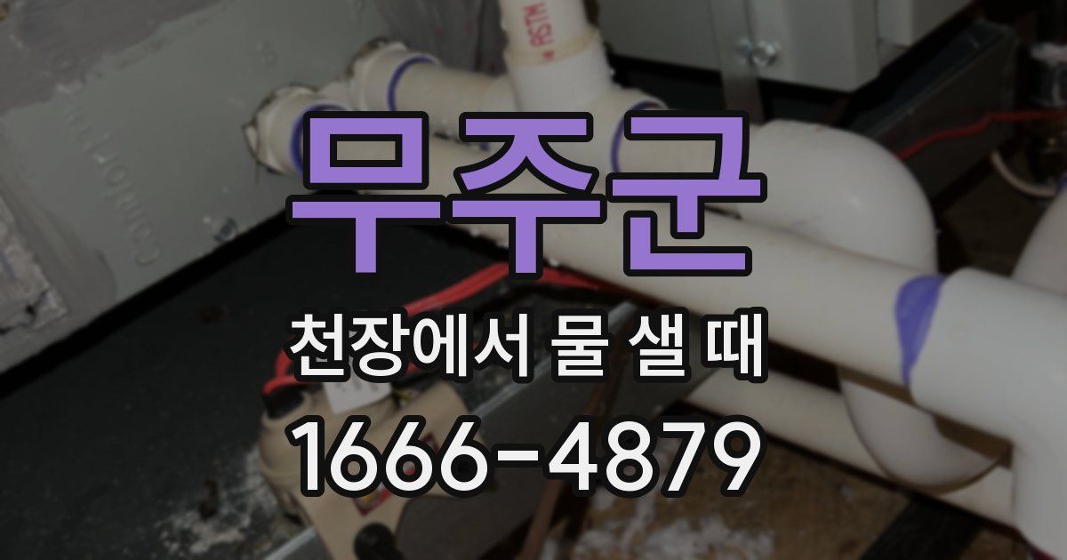 무주군 천장에서 물 샐 때