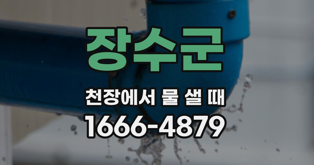 장수군 천장에서 물 샐 때