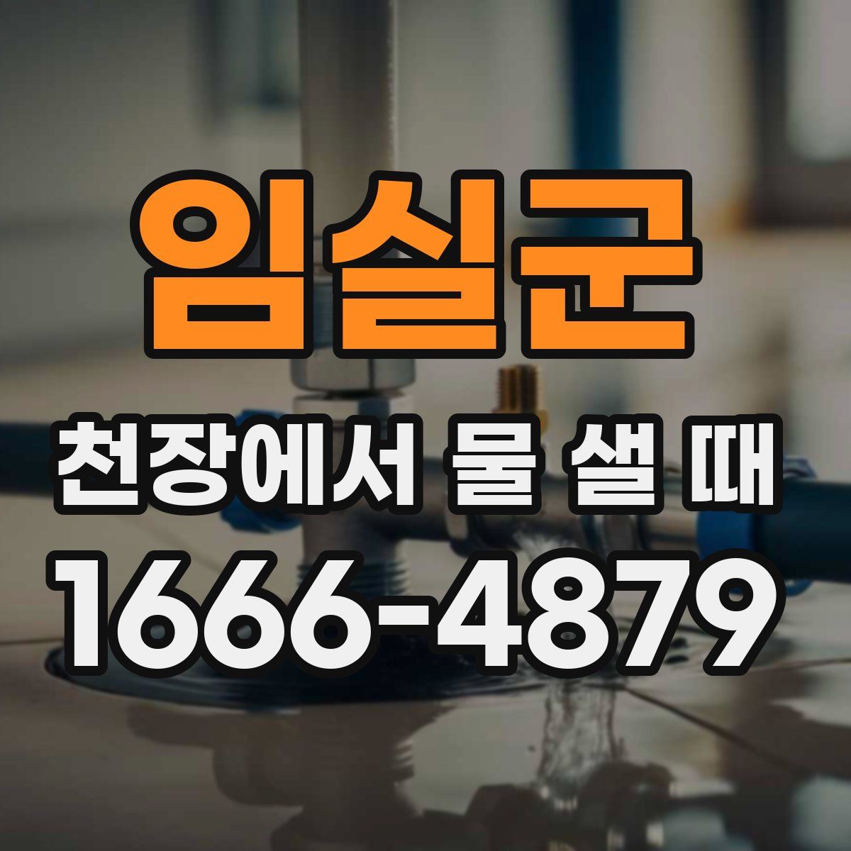 임실군 천장에서 물 샐 때