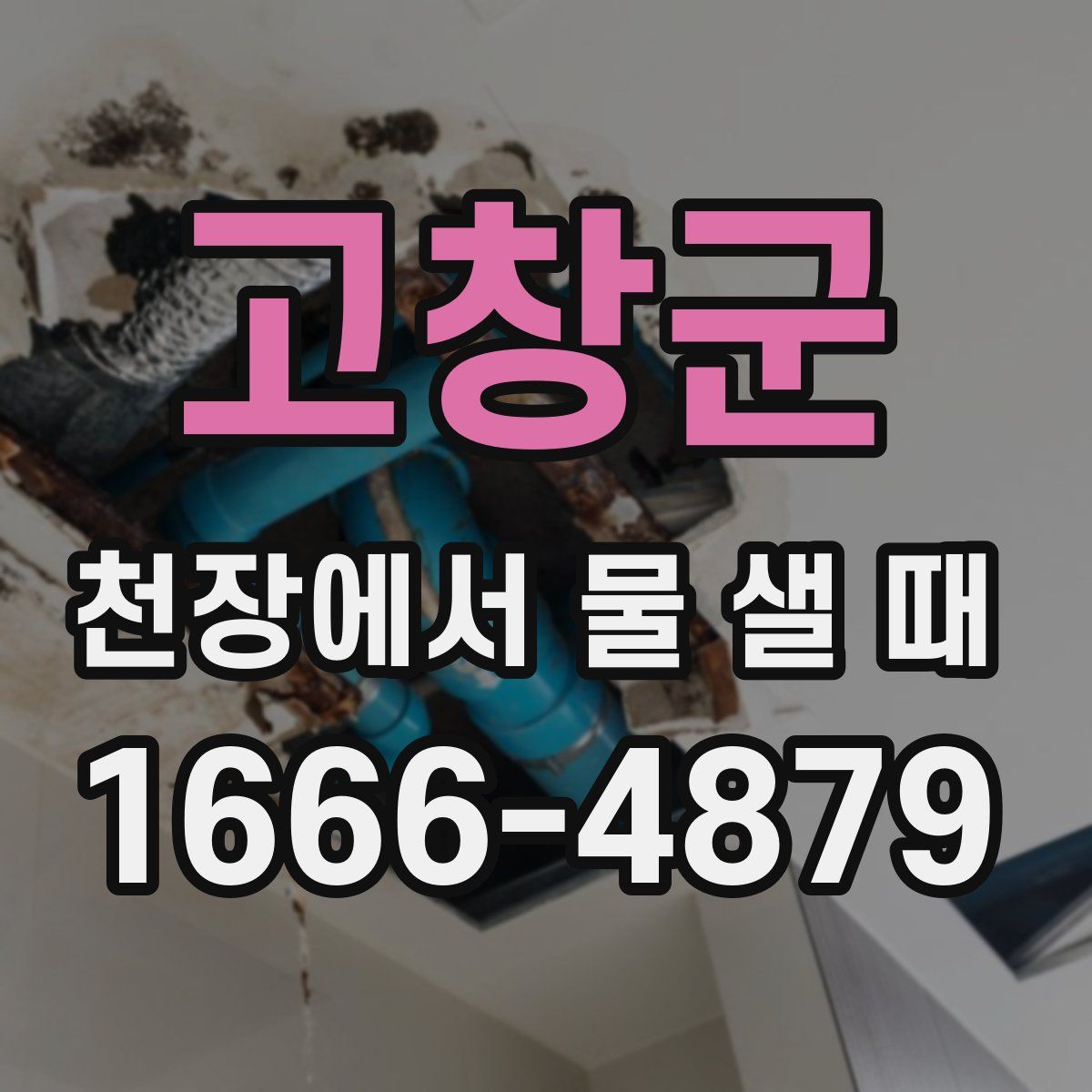 고창군 천장에서 물 샐 때