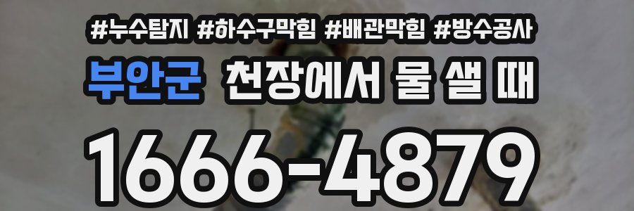 부안군 천장에서 물 샐 때