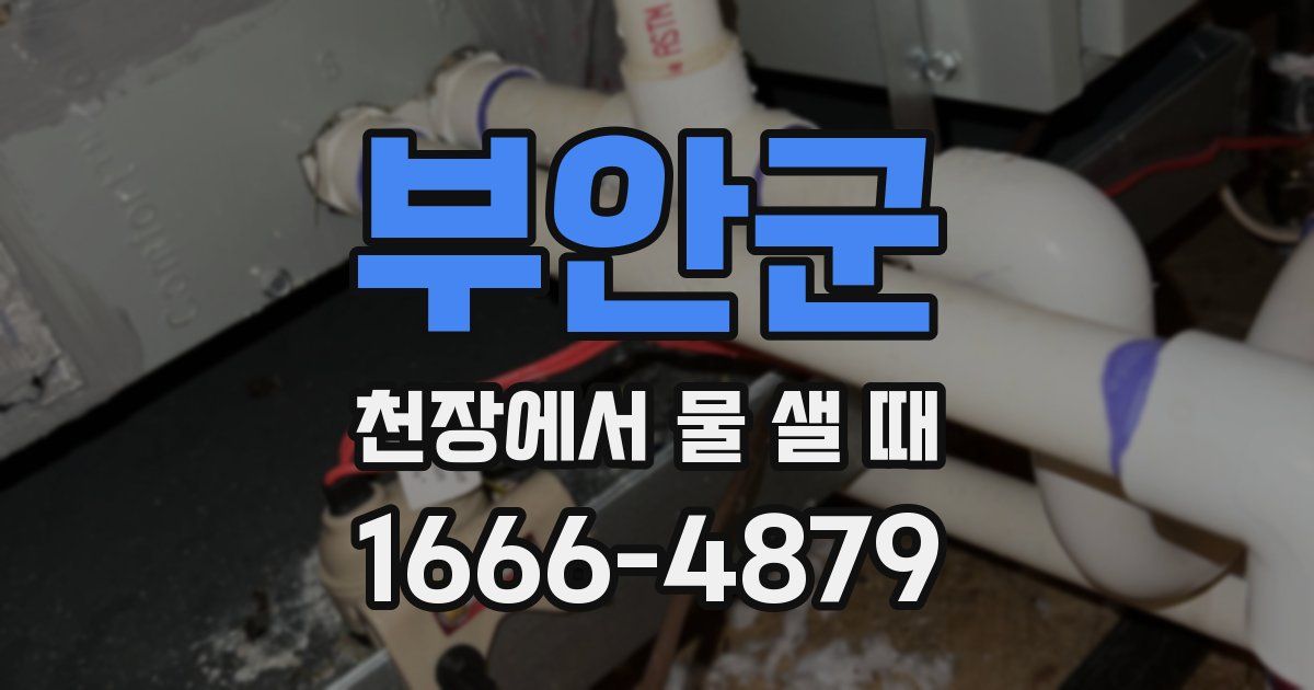 부안군 천장에서 물 샐 때