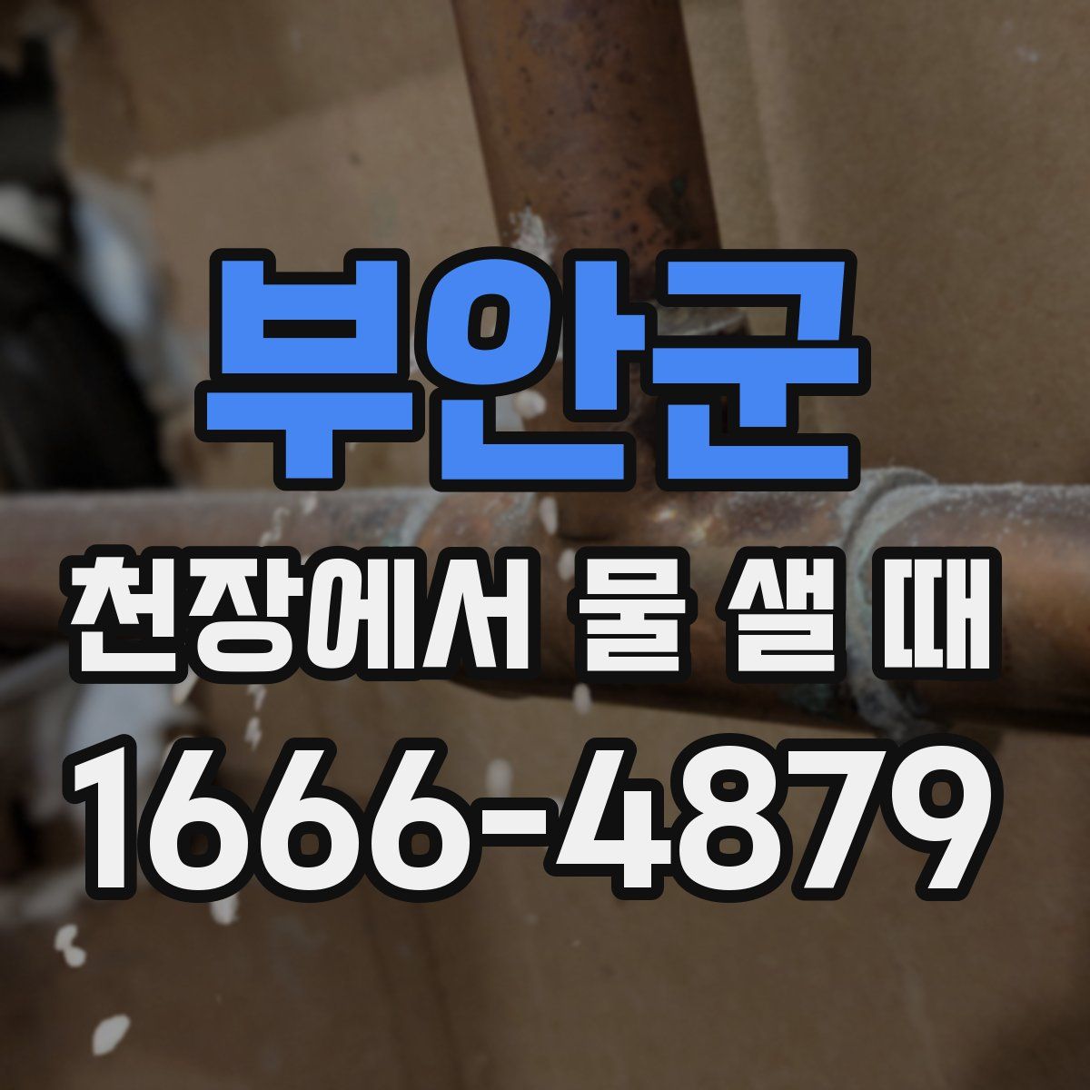 부안군 천장에서 물 샐 때