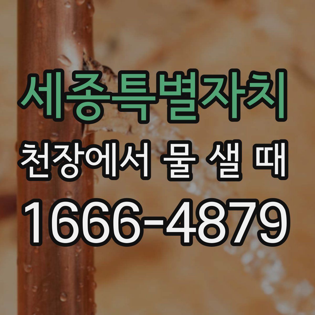 세종특별자치 천장에서 물 샐 때