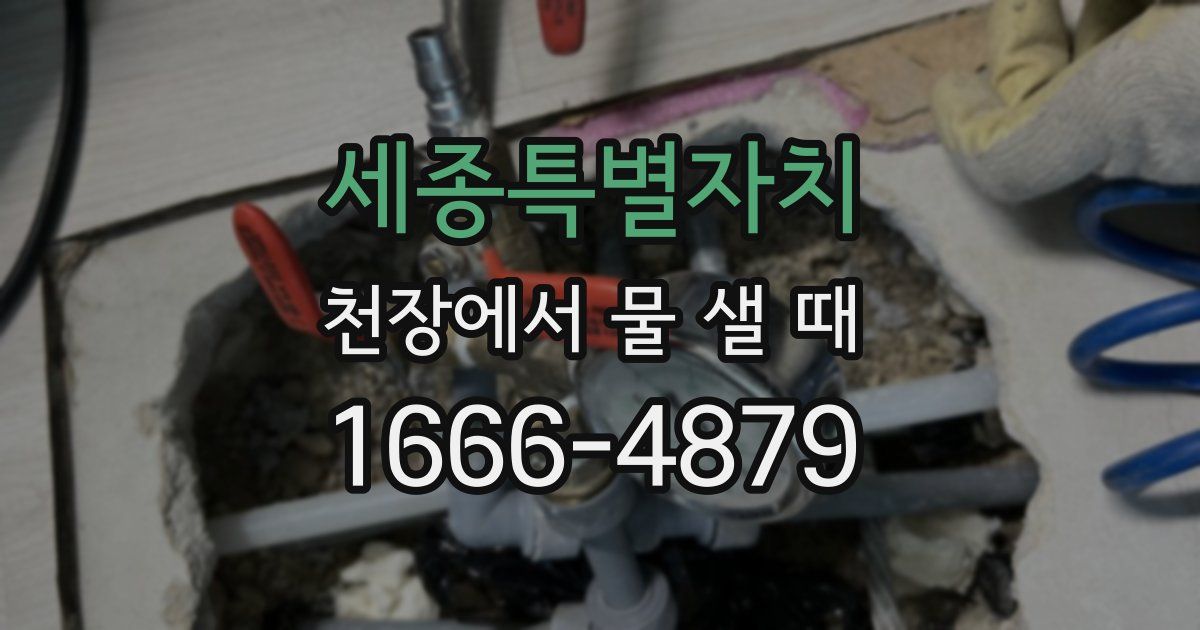세종특별자치 천장에서 물 샐 때
