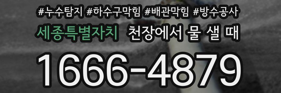 세종특별자치 천장에서 물 샐 때