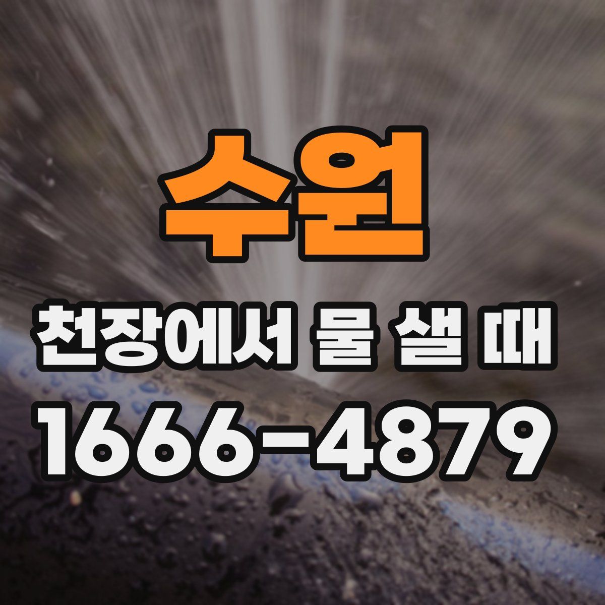 수원 천장에서 물 샐 때