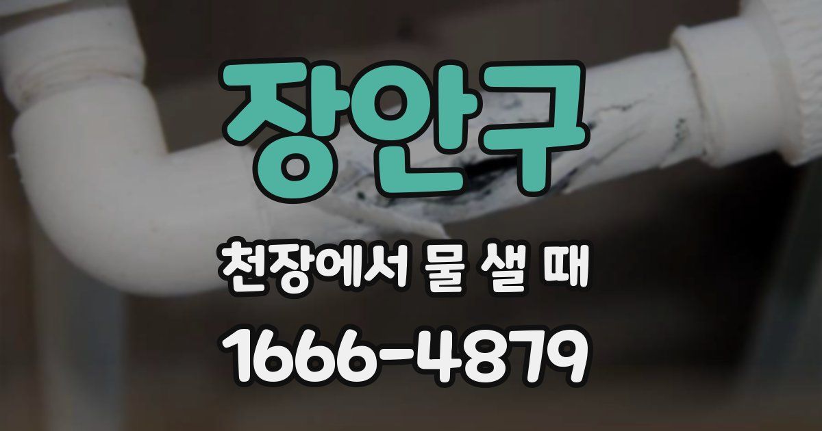 장안구 천장에서 물 샐 때
