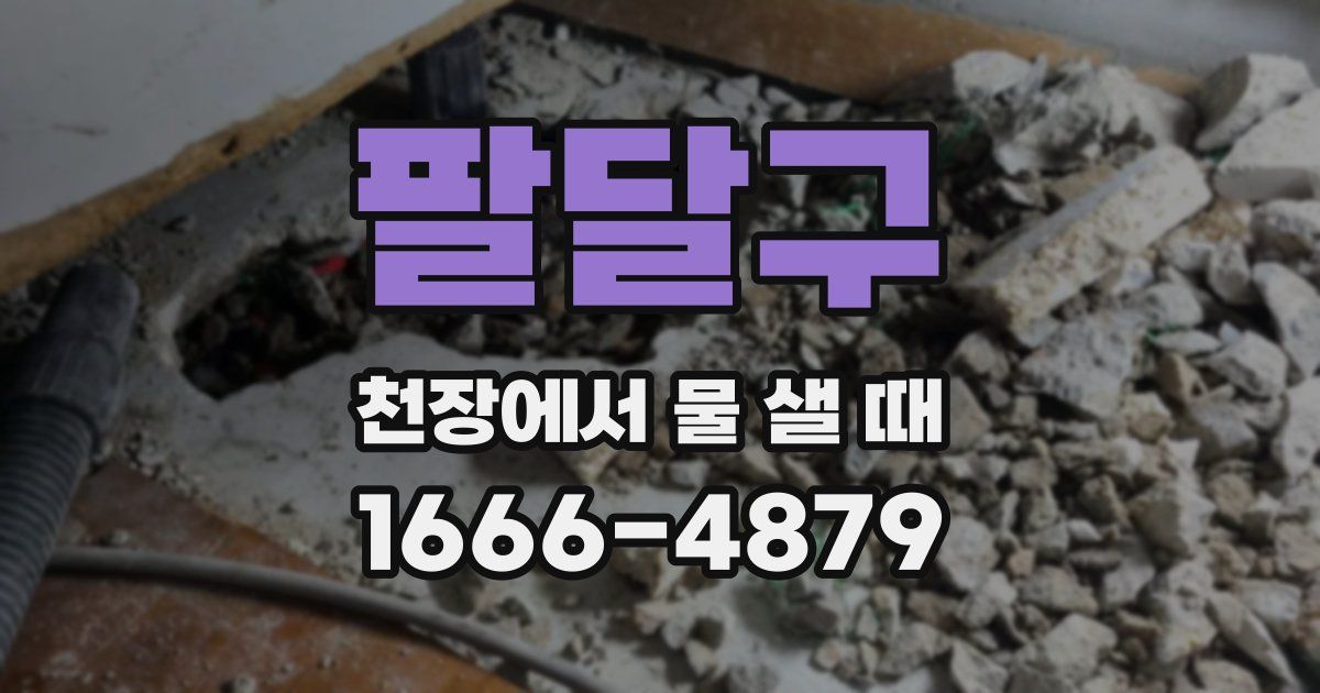팔달구 천장에서 물 샐 때