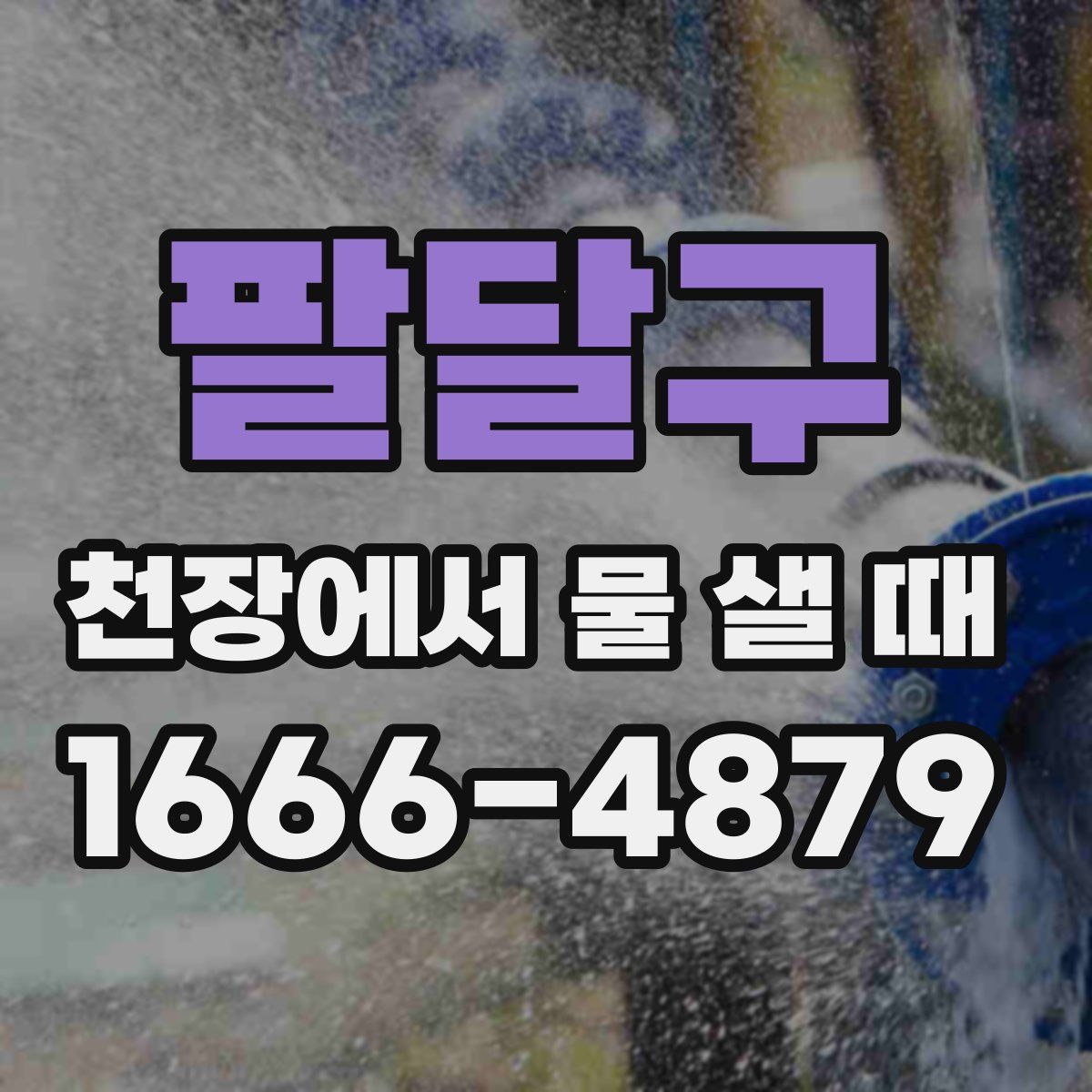 팔달구 천장에서 물 샐 때