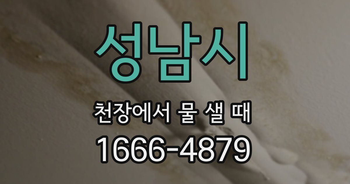 성남시 천장에서 물 샐 때