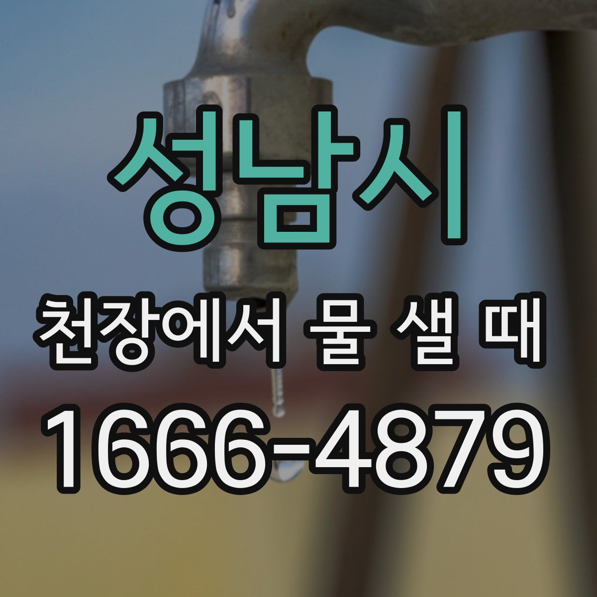 성남시 천장에서 물 샐 때