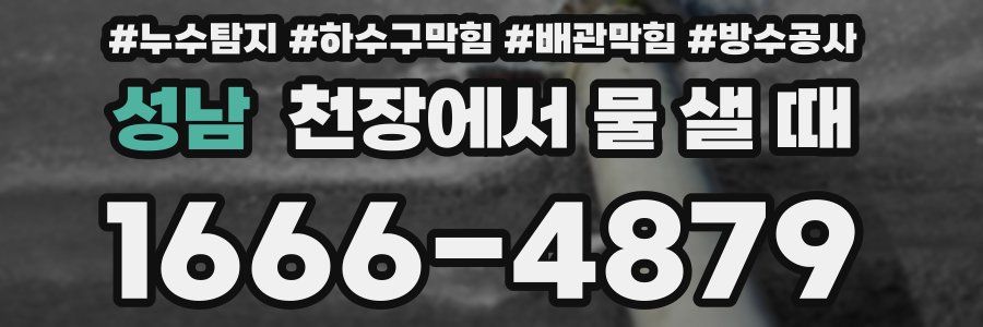 성남 천장에서 물 샐 때