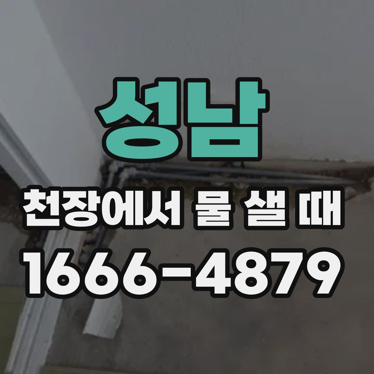 성남 천장에서 물 샐 때