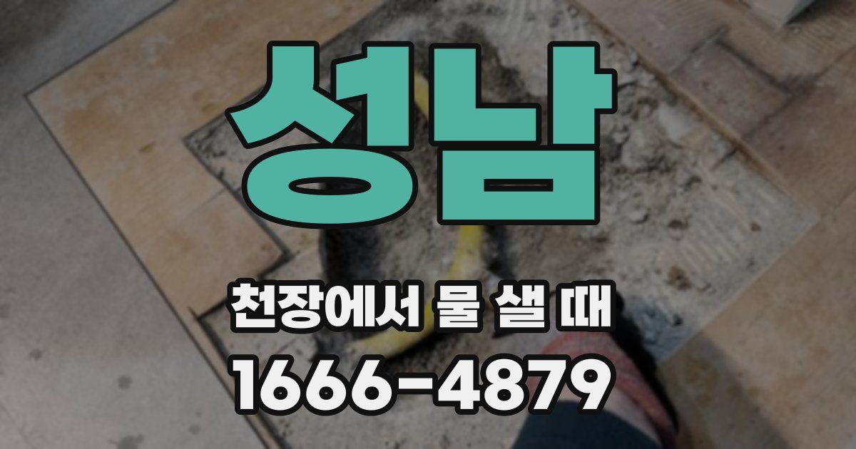성남 천장에서 물 샐 때