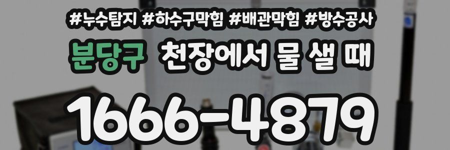 분당구 천장에서 물 샐 때
