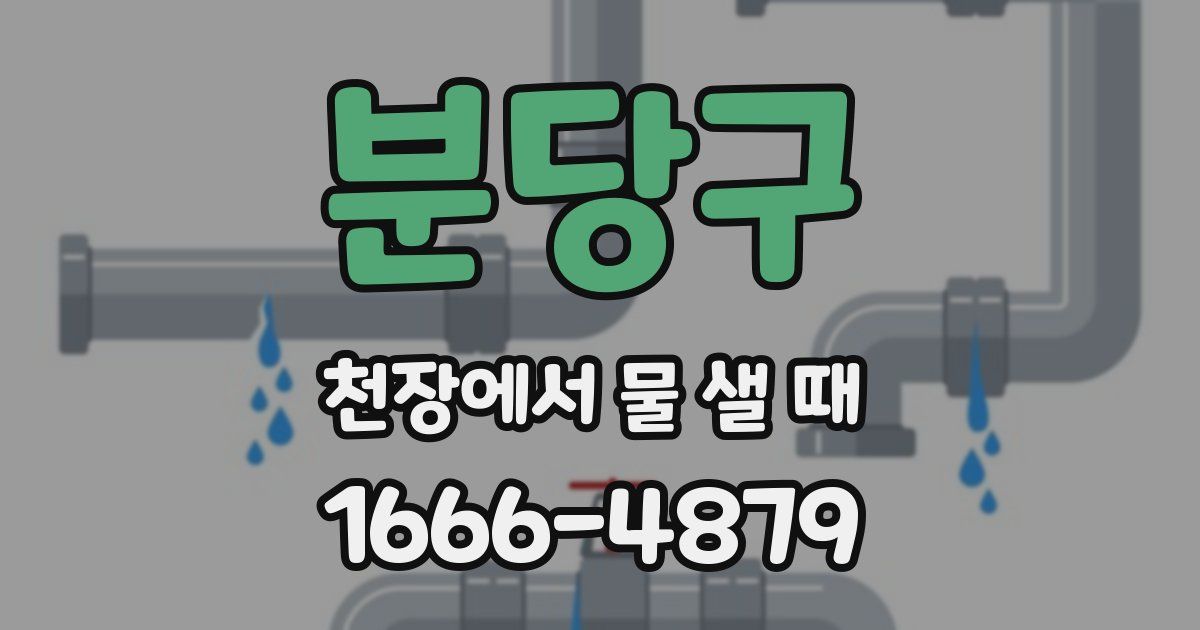 분당구 천장에서 물 샐 때