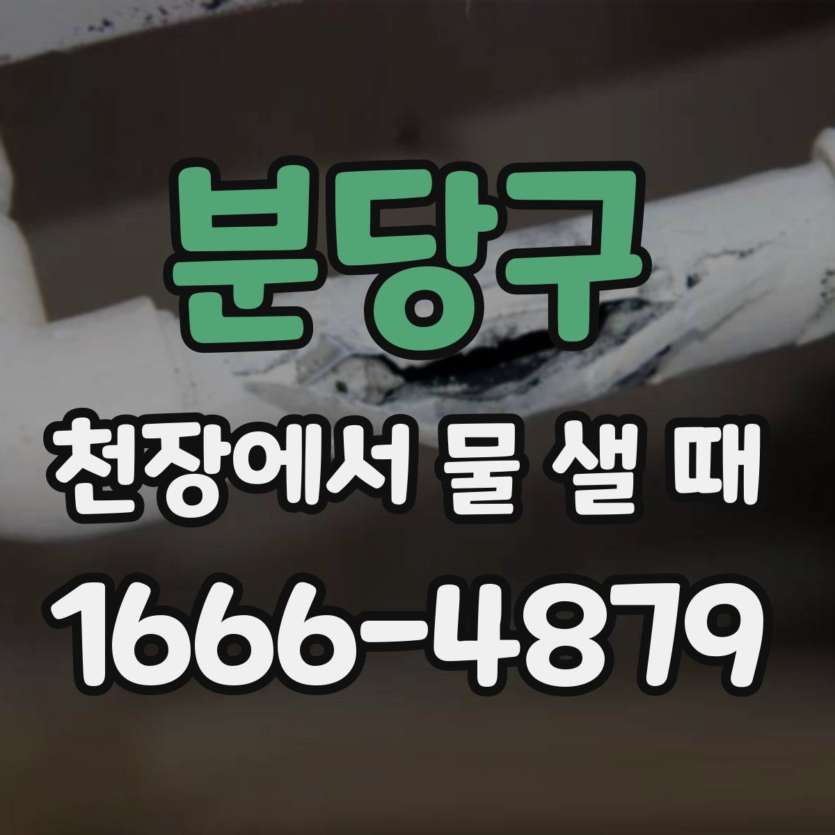 분당구 천장에서 물 샐 때