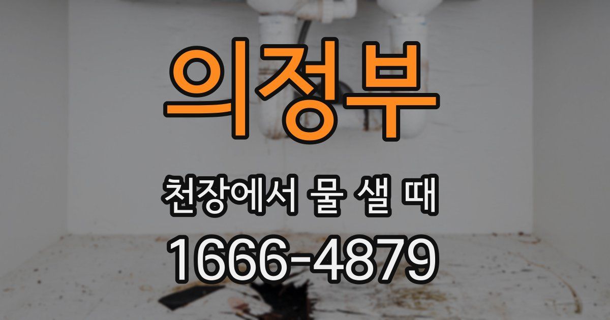 의정부 천장에서 물 샐 때