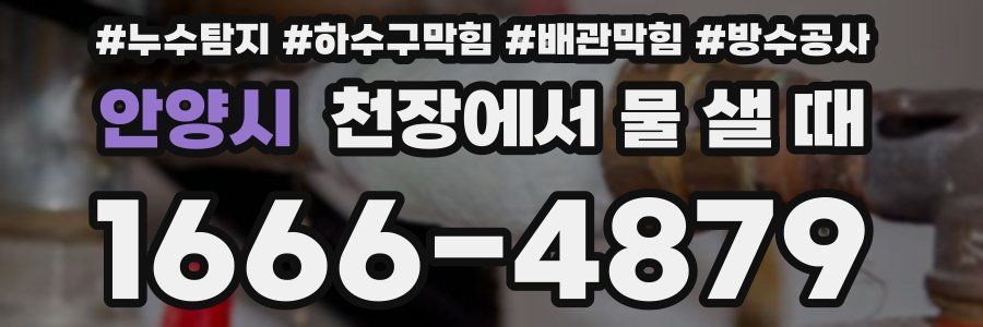 안양시 천장에서 물 샐 때