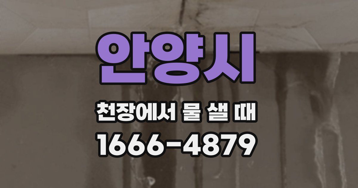 안양시 천장에서 물 샐 때