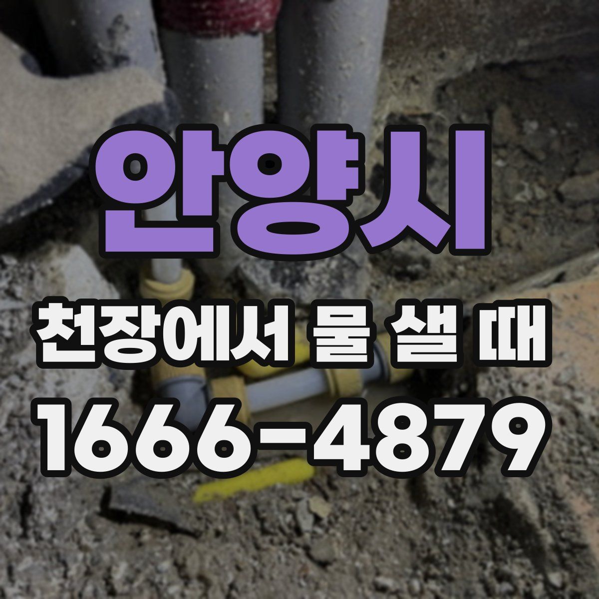 안양시 천장에서 물 샐 때