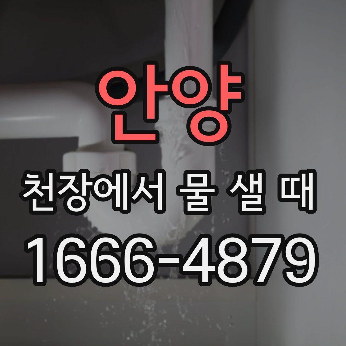 안양 천장에서 물 샐 때