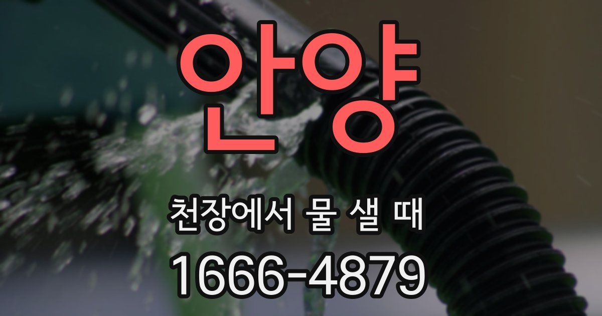 안양 천장에서 물 샐 때