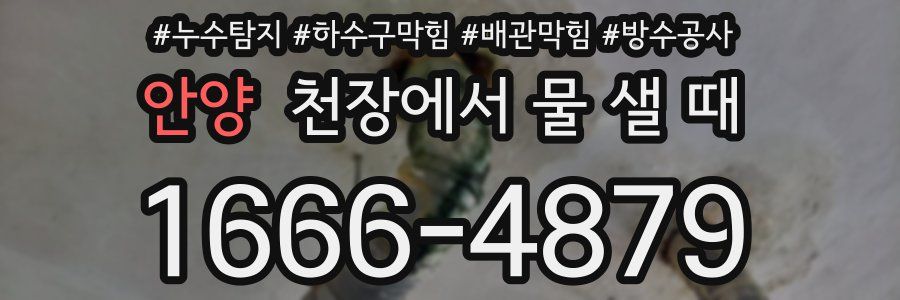 안양 천장에서 물 샐 때