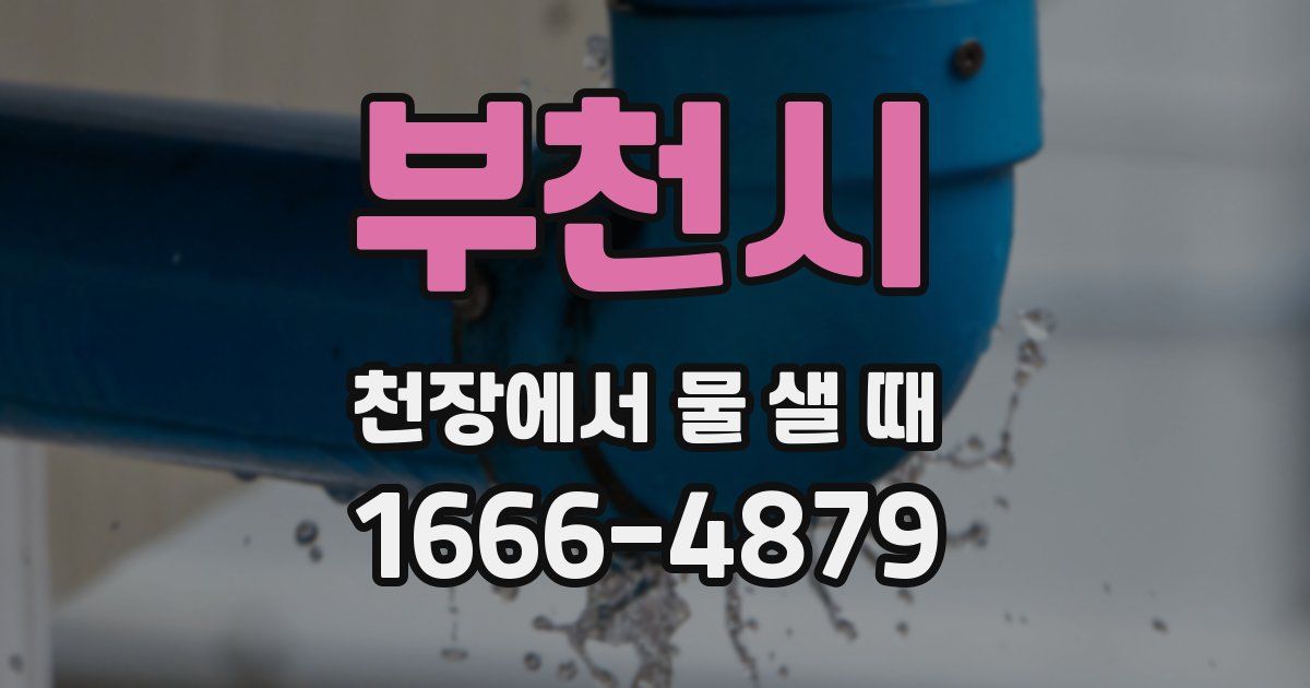 부천시 천장에서 물 샐 때