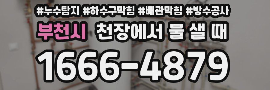부천시 천장에서 물 샐 때