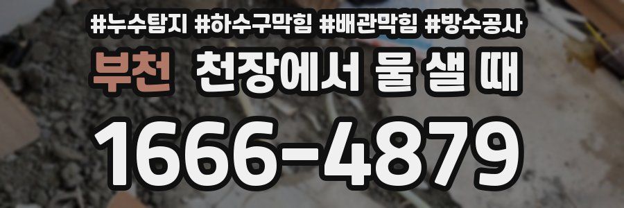 부천 천장에서 물 샐 때