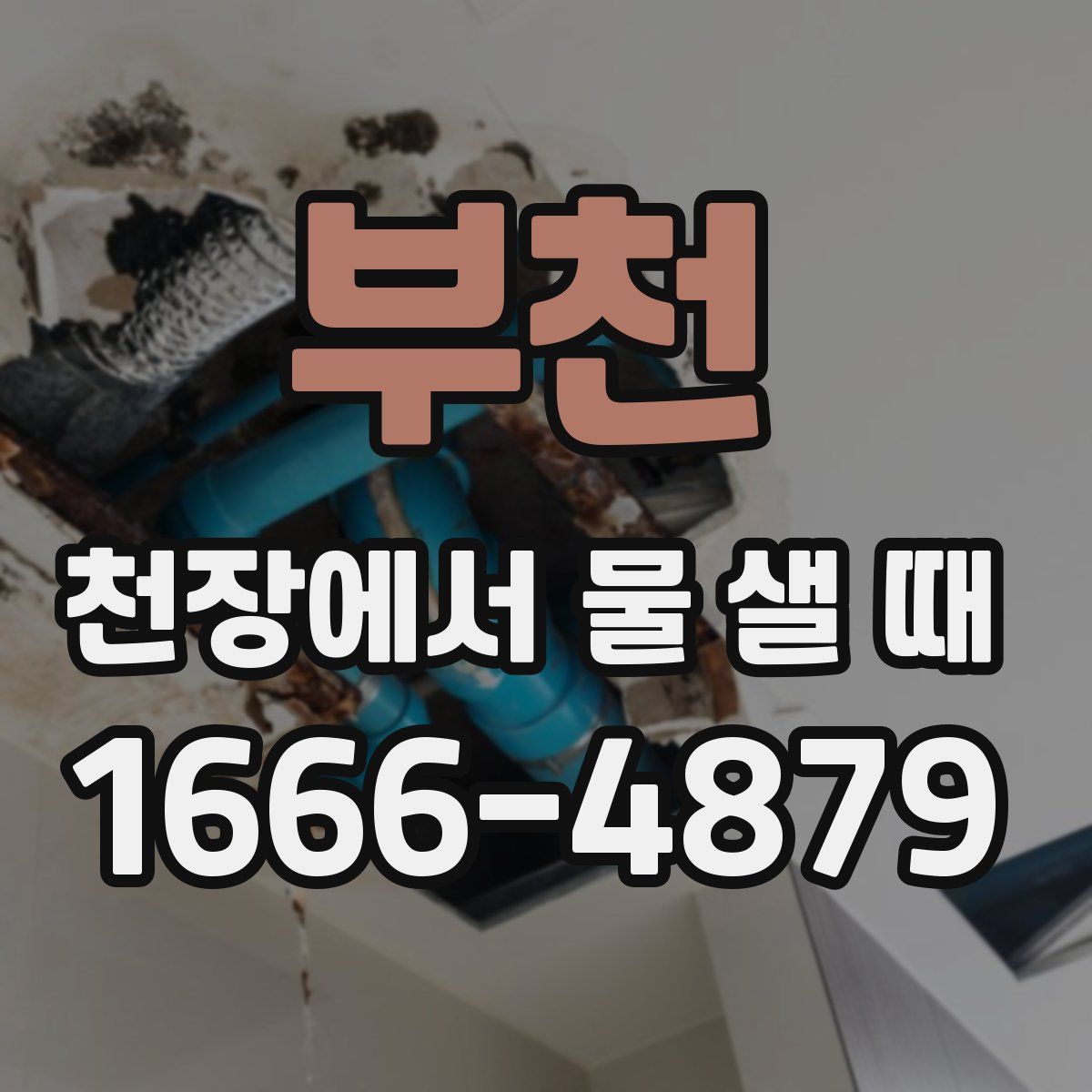 부천 천장에서 물 샐 때