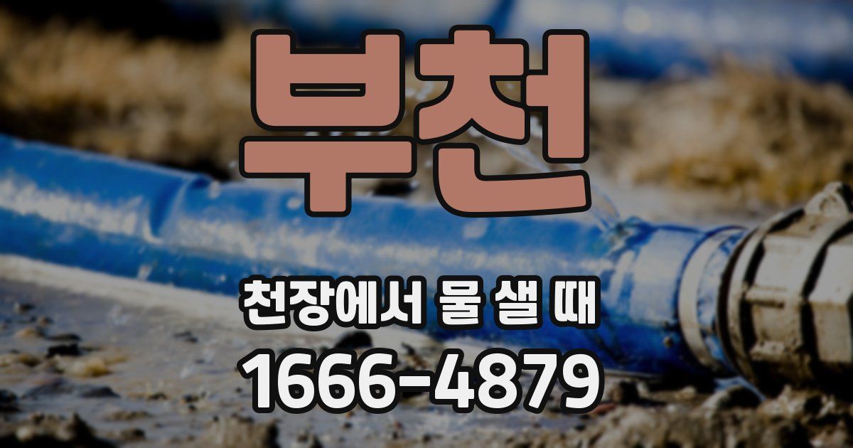 부천 천장에서 물 샐 때