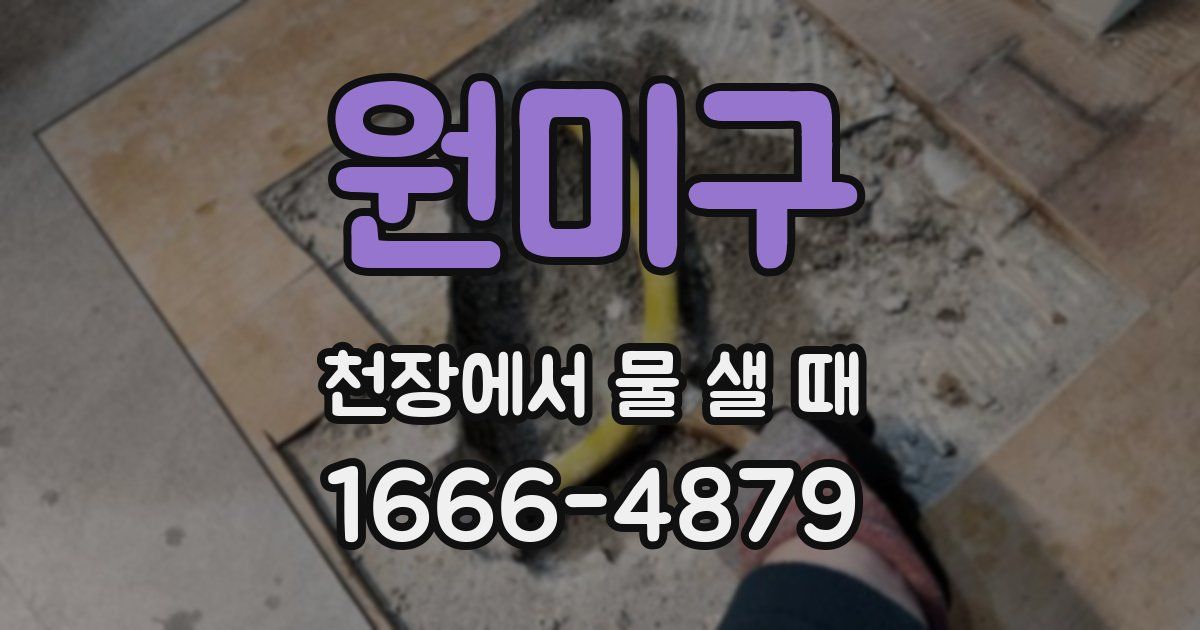 원미구 천장에서 물 샐 때