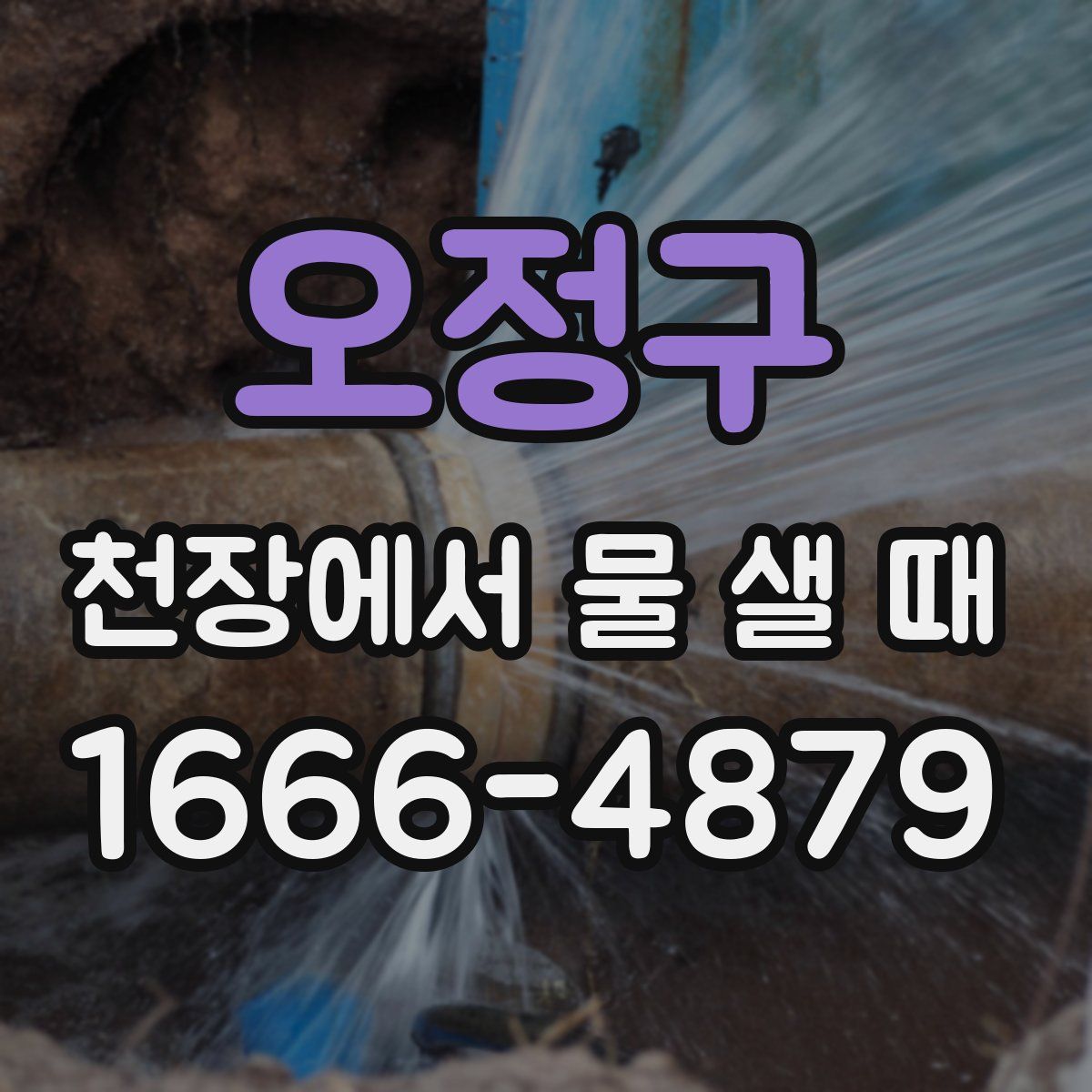 오정구 천장에서 물 샐 때