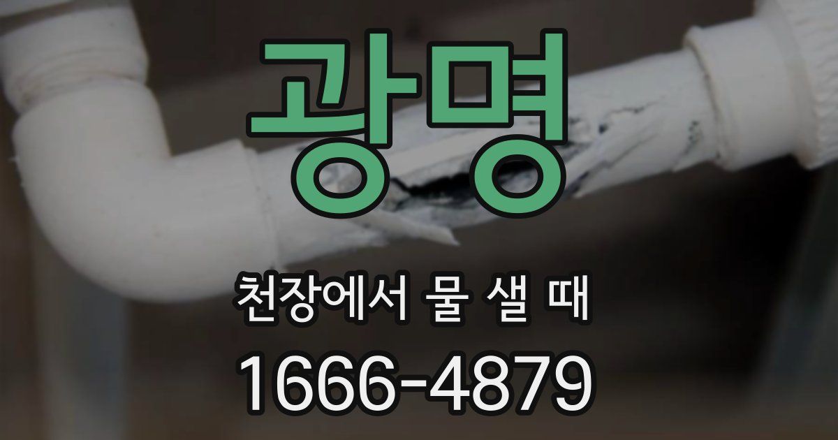광명 천장에서 물 샐 때