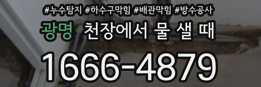 광명 천장에서 물 샐 때