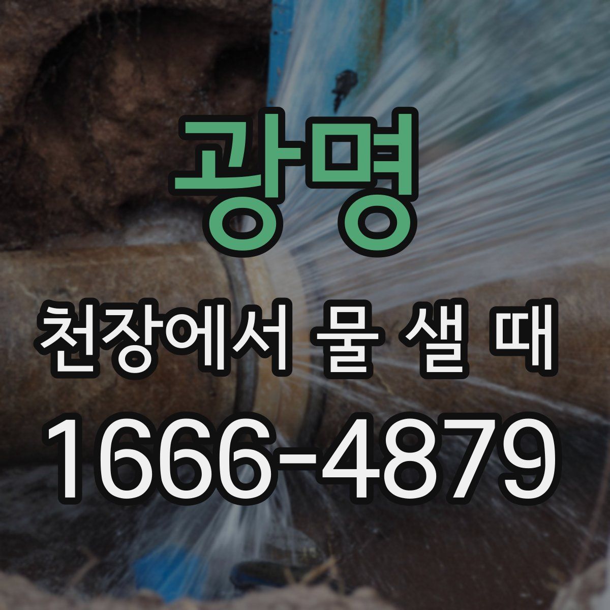 광명 천장에서 물 샐 때