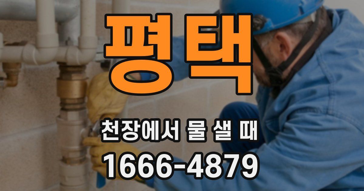 평택 천장에서 물 샐 때