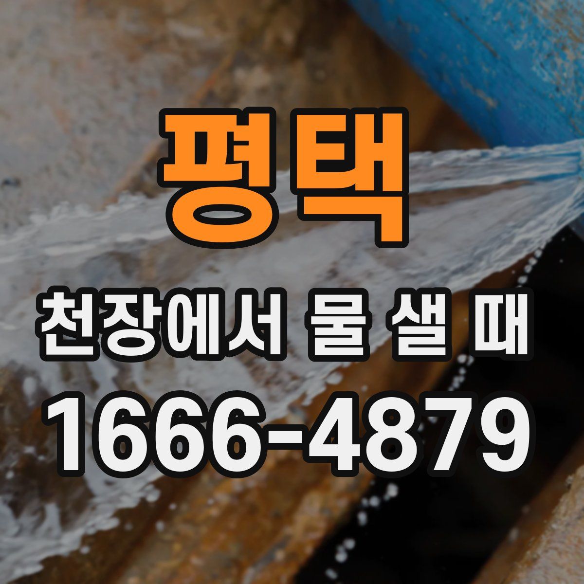 평택 천장에서 물 샐 때