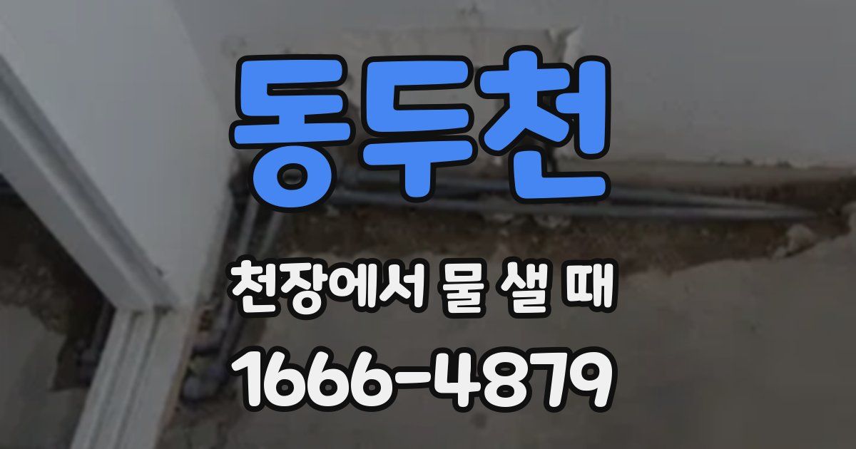 동두천 천장에서 물 샐 때