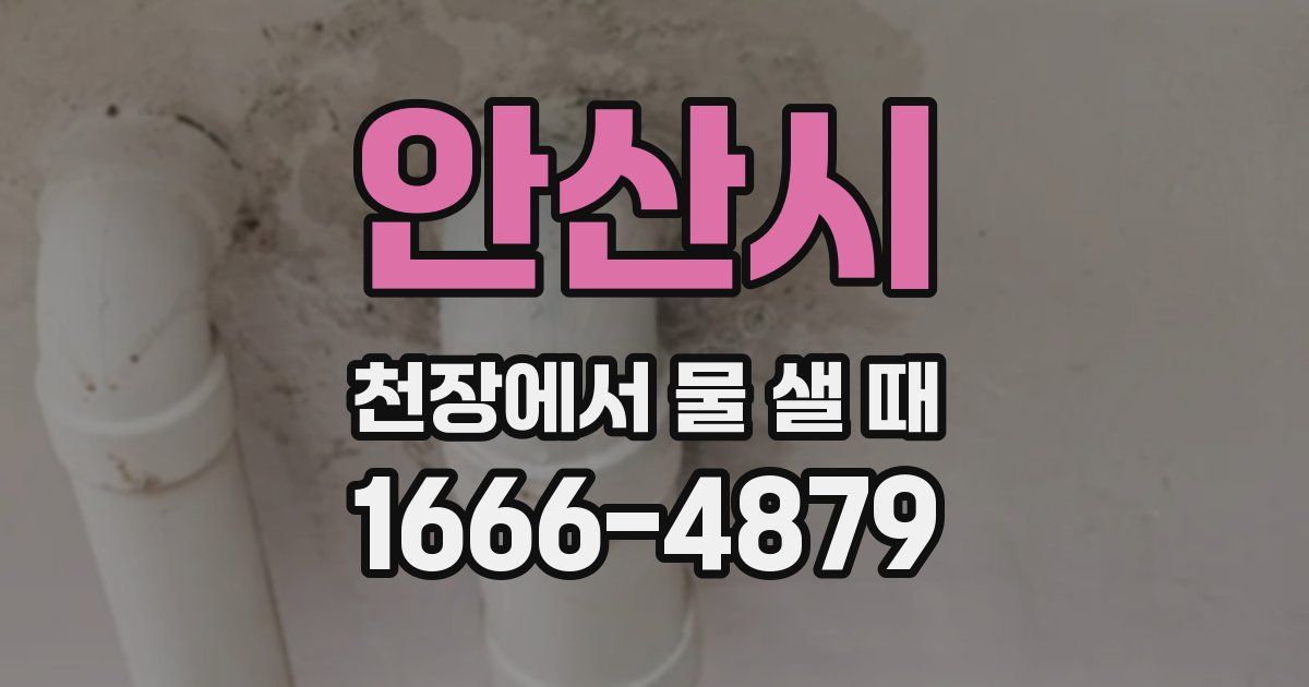 안산시 천장에서 물 샐 때